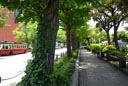 yamashita blvd._cjpg